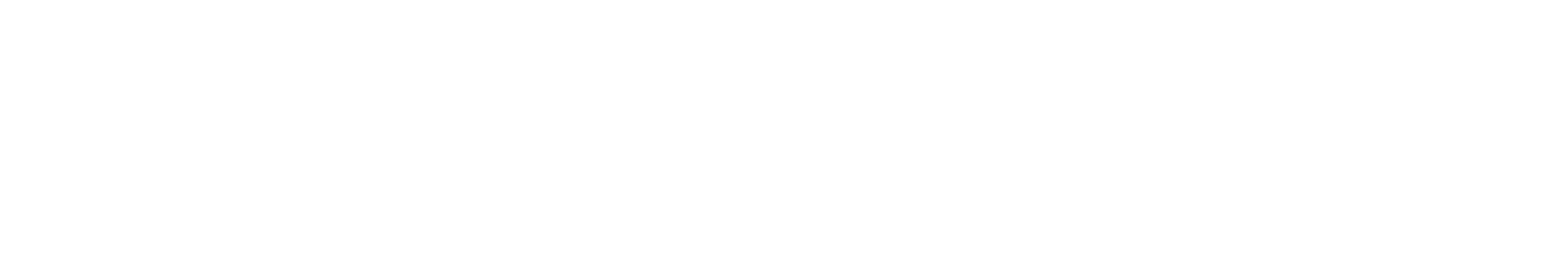 logo action 02